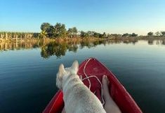 Others 2 Tungdindum Farm Stay