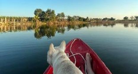 其他 2 Tungdindum Farm Stay