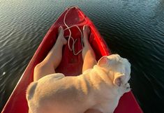 Others 3 Tungdindum Farm Stay