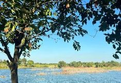 Others 7 Tungdindum Farm Stay