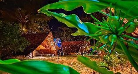 Others 2 Trikora Beach Glamping