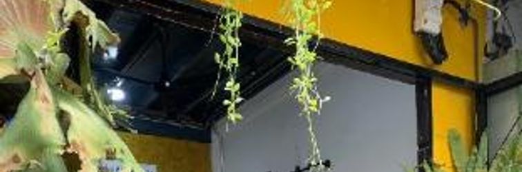 Others Enterspace Chinatown