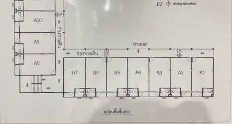 其他 2 Gasira Green