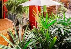 Others 3 Roseate Hotel