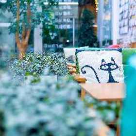 Recreational facilities 1 Smiley's Long Time No See Hostel - Kuanzhai, Chengdu Technological University (Southwest Gate) Hotels