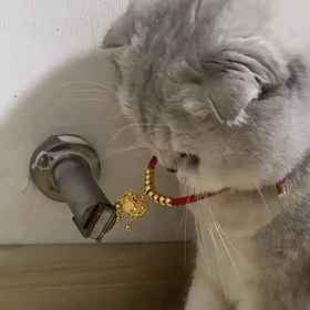 W Sydney 1 W Sydney, Coffee @ ชะอม Hotels