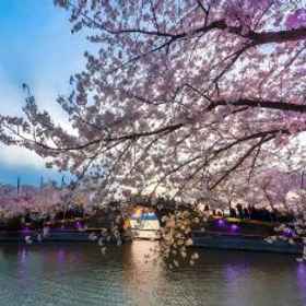 Lavande Hotel Wuxi Nanchang Street Taihu Avenue 1 Khách sạn Lavande (Đường cổ Nanchang Wuxi Taihu Avenue), Khách sạn Xiangning Chongqing Fish Head Pot Dongting Branch