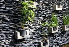 Others 3 Dusai Tara Resort