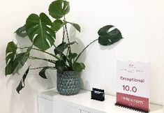 อื่นๆ 6 Netflix free - Luxury Condotel 2BR Skylake