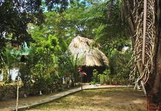 Others 3 Bullet Tree Riverside Cabanas