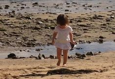 Others 7 The Cove Guest House