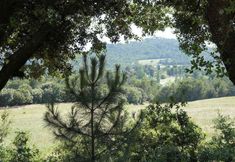 Others 2 Troistours - Location villa de vacances avec piscine privée - Haut Var - Provence Apartment 6