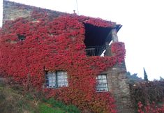 Others 5 Villa With 3 Bedrooms in Lamego, With Wonderful Mountain View, Private Pool, Enclosed Garden - 3 km From the Beach