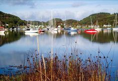 Others 5 Torr Beag