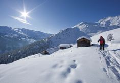 Others 2 Lovely Apartment on Working Farm in Strass im Zillertal