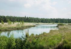 Others 4 Detached Holiday Home With a Dishwasher 2 km. From Appelscha