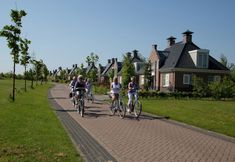 Others 2 Detached Holiday Home With a Dishwasher 2 km. From Appelscha