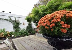 Others 7 Cosy Holiday Home in Noordwijk Netherlands With Garden