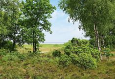 Others 6 Quaint Holiday Home in Hadsund With Private Whirlpool