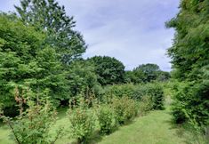 Others 4 Simplistic Cottage in Battle With Garden Near Bird-watching