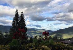 Others 5 Private Chalet With Sauna in Afritz am See Carinthia