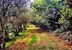 Others 7 Pleasant Gite on a Quiet Domain With Large Swimming Pool and a Park-like Garden