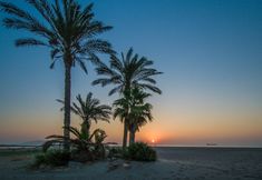 Others 7 Ground Floor Apartment in Vera Playa, Private Patio, North Facing