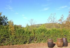 기타 7 Lush Holiday Home in Cereste With Private Swimming Pool