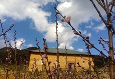 기타 2 Discover Y Ty Homestay - Hostel