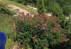 Lain-lain 6 Chalet With 3 Bedrooms in La Bresse, With Wonderful Mountain View, Enclosed Garden and Wifi - 10 km From the Slopes