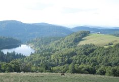 Lain-lain 3 Chalet With 3 Bedrooms in La Bresse, With Wonderful Mountain View, Enclosed Garden and Wifi - 10 km From the Slopes