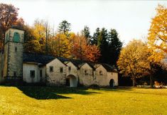 Others 3 Lavish Villa in Imola Amid the Forest