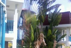 Others 5 Studio in Le Diamant, With Wonderful sea View, Enclosed Garden and Wifi - 500 m From the Beach