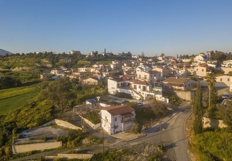 Others Samareitidos Light Studio - Green