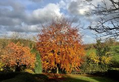 Others 2 Valley View Farm