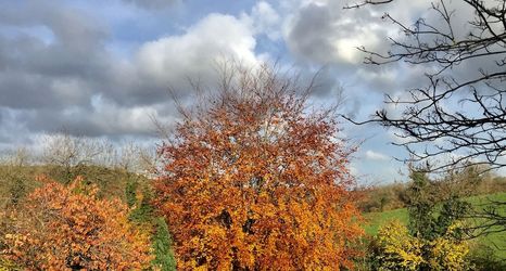 Others 2 Valley View Farm