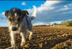 Others 3 Valley View Farm