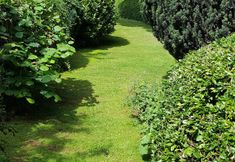 อื่นๆ 7 Elmbrook