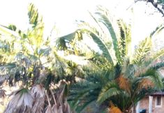 Others 5 Villa With 3 Bedrooms in Caminha, With Wonderful Mountain View, Private Pool, Enclosed Garden - 12 km From the Beach