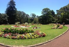 Lain-lain 4 Ascot Parnell