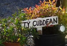 Others 3 Bronhaul Farm Cottages