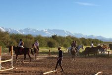 其他 La Vie En Rose