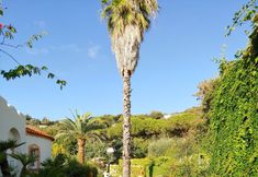 Others 2 Villa dei Lecci - 7 Luxury Villas with private pool or jacuzzi