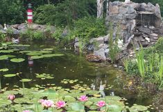 其他 5 Zur Alten Tischlerei