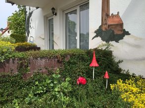 其他 4 Zur Alten Tischlerei