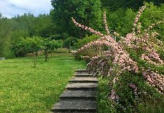 Khác 5 House With 3 Bedrooms in Castelnuovo di Garfagnana, With Wonderful Mountain View, Private Pool, Enclosed Garden