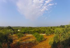 Others 3 House With 2 Bedrooms in Ceglie Messapica, With Enclosed Garden - 35 km From the Beach