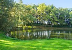 Others 4 House With 2 Bedrooms in Saint-saud-lacoussière, With Wonderful Lake View, Shared Pool, Enclosed Garden