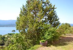 Others 4 House With 4 Bedrooms in Porto-vecchio, With Wonderful sea View, Enclosed Garden and Wifi - 400 m From the Beach