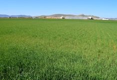 Others 3 El Retiro De La Mancha